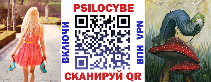 Псилоцибиновые грибы Psilocybe  Купить  Арамиль 